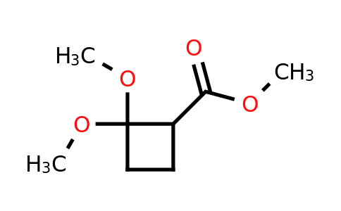 CAS 152530-93-3 | methyl 2,2-dimethoxycyclobutane-1-carboxylate