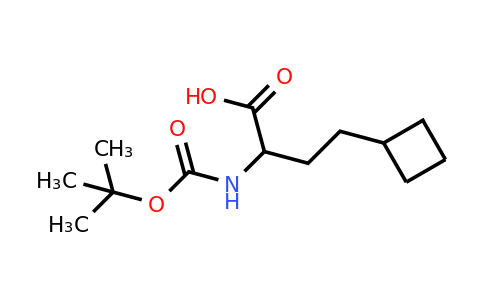 CAS 1888661-71-9 | 2-(tert-butoxycarbonylamino)-4-cyclobutyl-butanoic acid