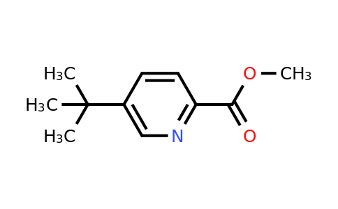 CAS 215436-29-6 | Methyl 5-(tert-butyl)picolinate